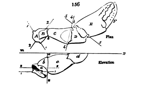 Willis Fig 156 Linking principlesmecha02willgoog 0321 (c)