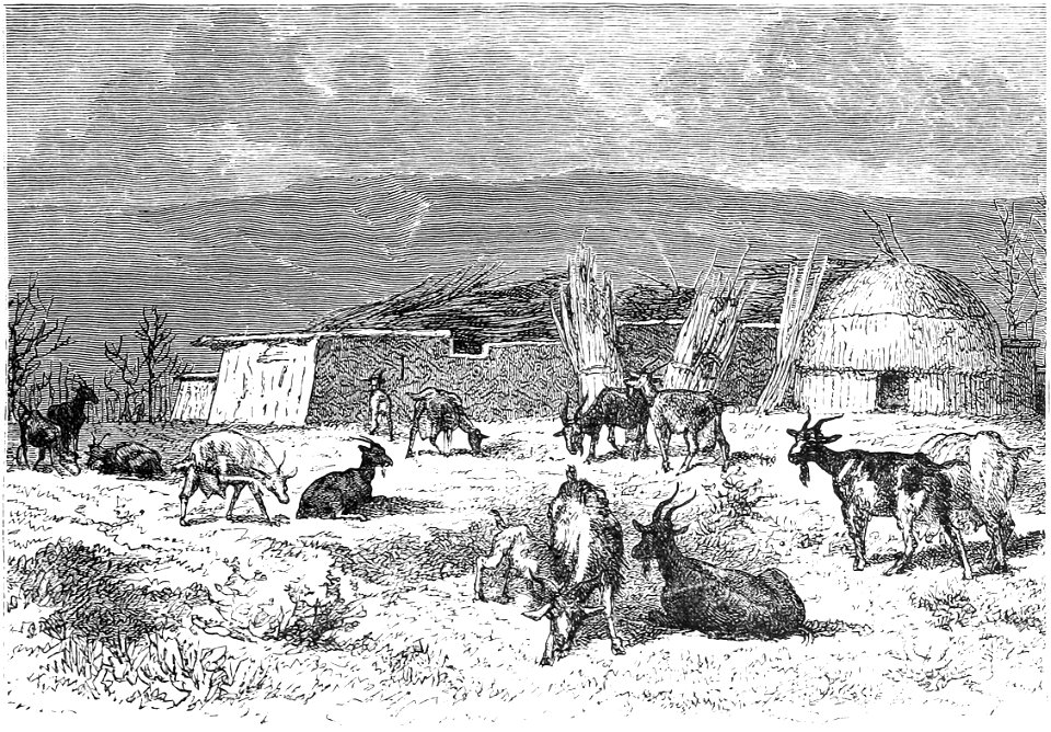 WINTER CAMP IN TURCOMANIA