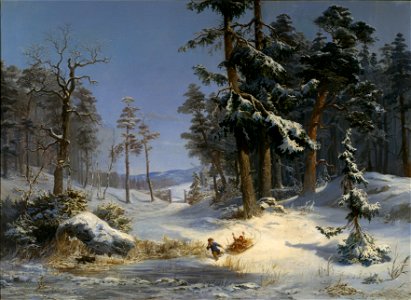 Winter Landscape from Queen Christina's Road in Djurgården, Stockholm (Kung Karl XV) - Nationalmuseum - 18205