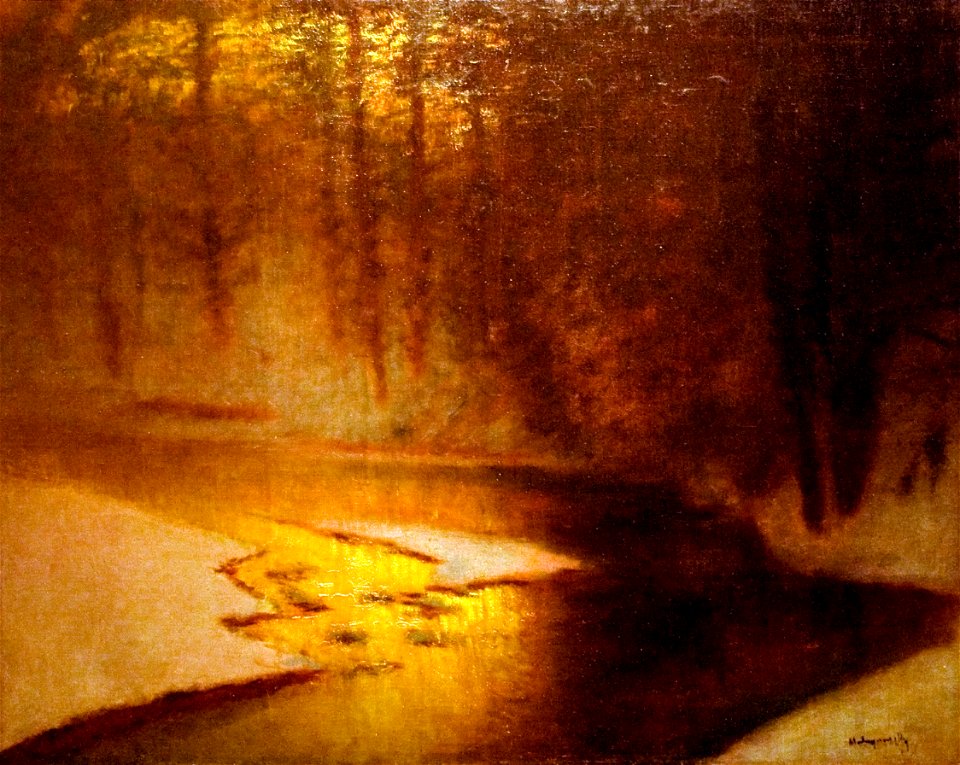 Winter Forest with a Brook