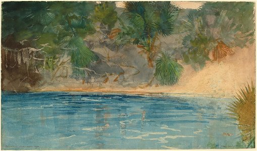 Winslow Homer - Blue Spring, Florida