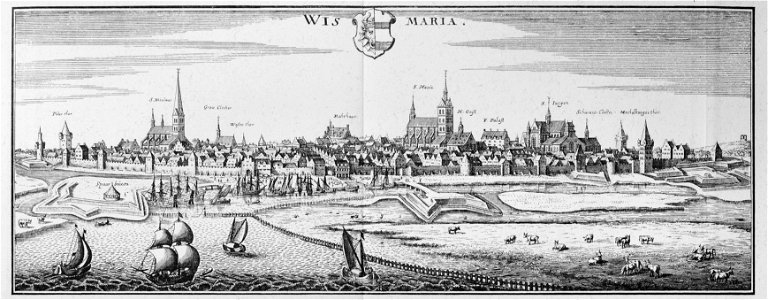 Wismaria (Merian)