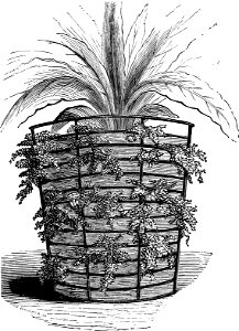 Wire pot-Amateurs Greenhouse Conservatory-0040