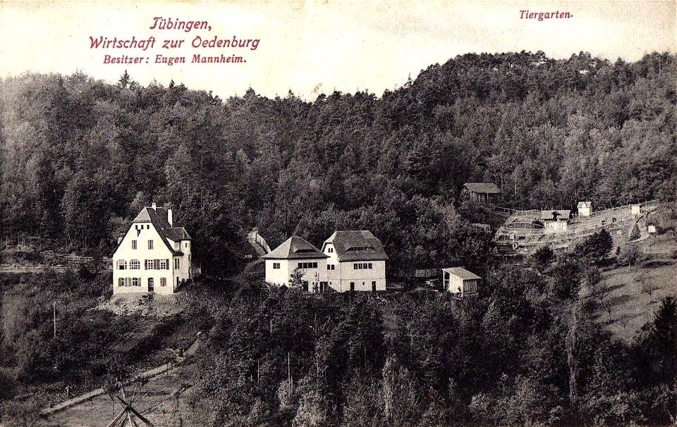 Wirtschaft zur Ödenburg und Tiergarten (AK 42667 Gebr. Metz vor 1919)