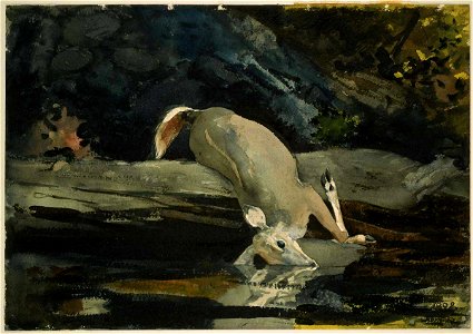 Winslow Homer - The Fallen Deer