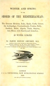 Winter and Spring on the shores of the Mediterranean, title page - Bennet James Henry M - 1875. Free illustration for personal and commercial use.