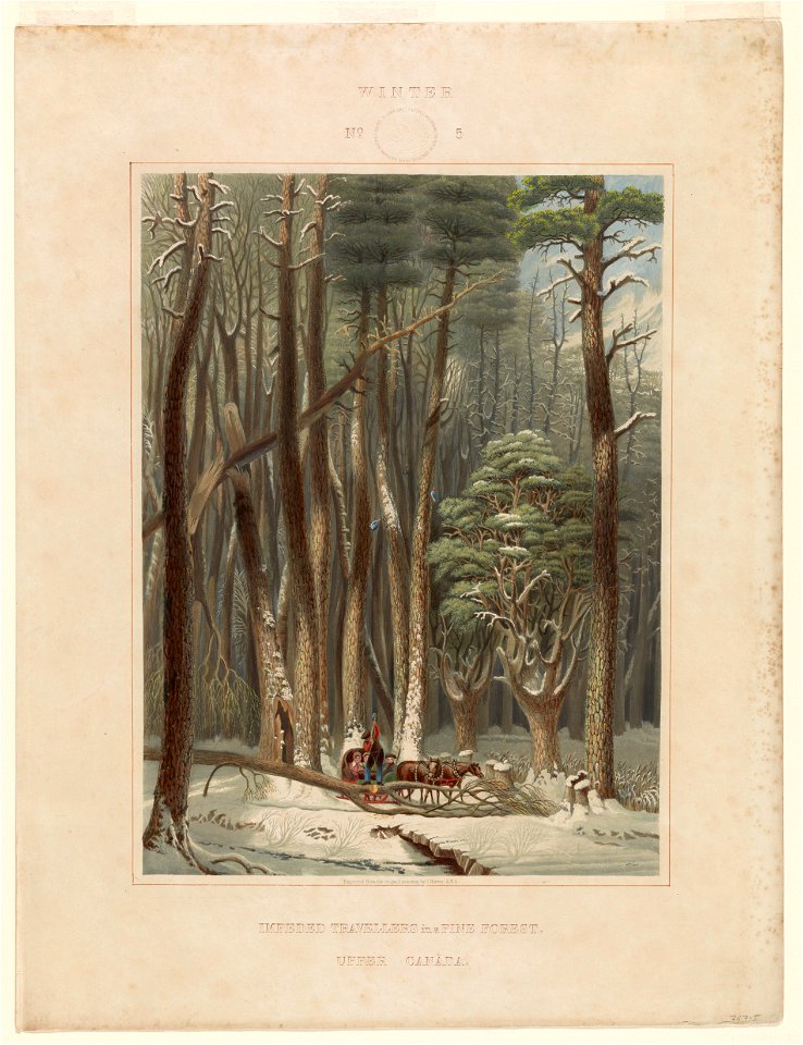 Winter. No. 5. Impeded travellers in a pine forest (...) LCCN2003664820