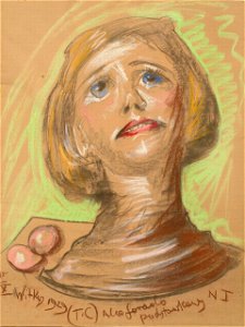 Witkacy - 4645 - Portret Zofii Fedorowicz