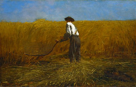 Нове поле діяльності ветерана, 1865