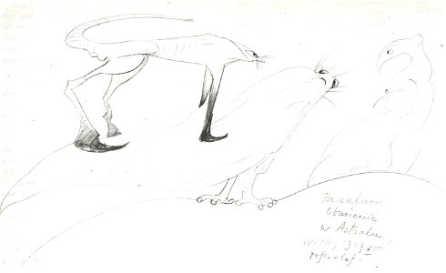 Witkacy - Bezczelnosc i oburzenie w Astralu, 1929, olowek - (26)
