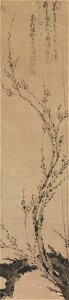 Wintry Plum (Han Mei) by Ni Jing, late 14th century,Metropolitan Museum of Art, 1983.85