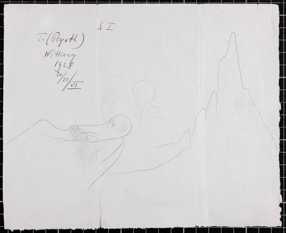 Witkacy - Rysunek Peyotlowy - BJ Graf. I.R. 5902-1