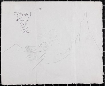 Witkacy - Rysunek Peyotlowy - BJ Graf. I.R. 5902-1