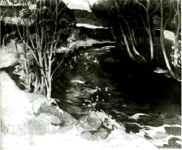 Witkacy - Potok na Olczy. 1908