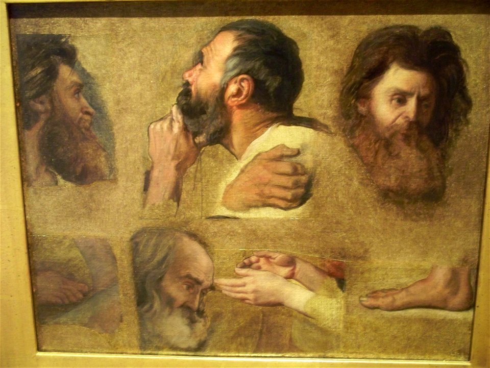 WLA ima Studies for Jesus among the Doctors