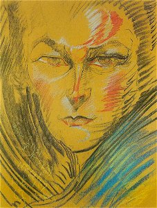 Witkacy-Portret Heleny Białynickiej-Biruli 10