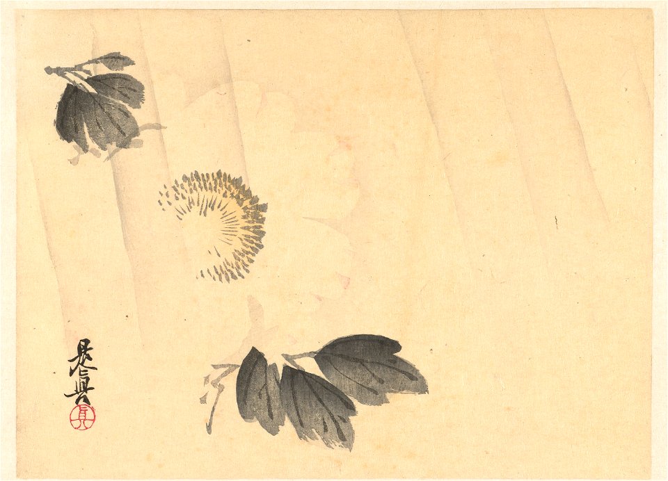 Witte pioenroos in de regen-Rijksmuseum RP-P-1960-366