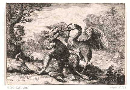 Wolf en kraanvogel