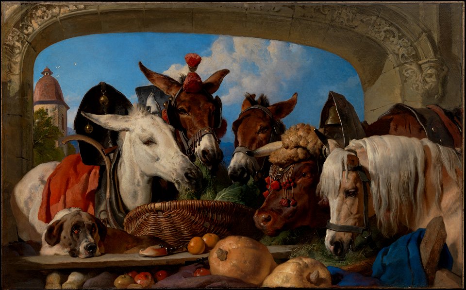 WLA lacma David Roberts animals