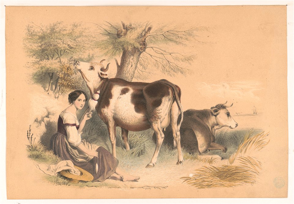Woman beside two cows LCCN2004669487