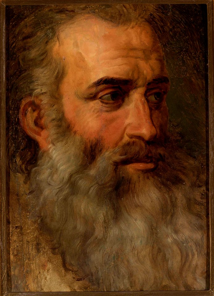 Wojciech Gerson - Portrait of an old man - MP 2217 MNW - National Museum in Warsaw