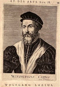 Wolfgang Lazius, historian