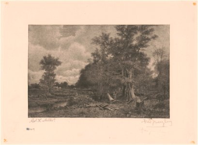 Wood cutter, after Miller LCCN2004670654