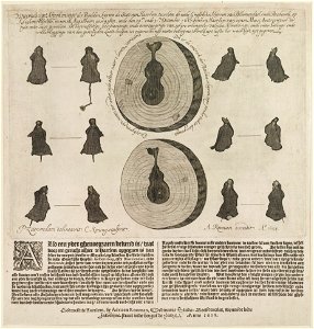 Wonderlijke speling der natuur. Figuren gevonden in een tak van een appelboom op de Kloekenhofstede (Cloeckendaal) te Santpoort. Kopergravure van C. Koning naar P.J. Saenredam, NL-HlmNHA 53004319 M