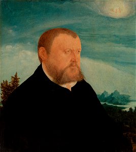 Wolfgang Huber - Portrait of a Man - BF827 - Barnes Foundation