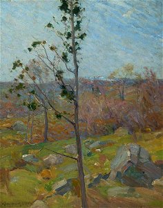 Single Tree by Charles Herbert Woodbury, 1904