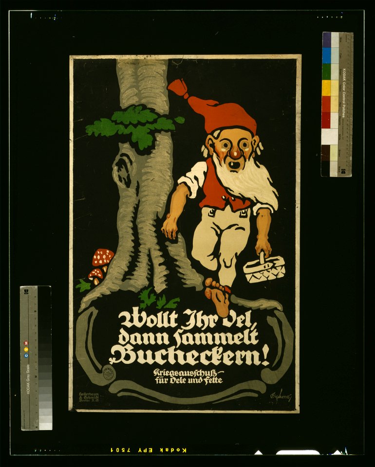 Wolt Ihr Oel, dann sammelt Bucheckern! Kriegsauschuss für Oele und Fette - Gipkens. LCCN2004665884