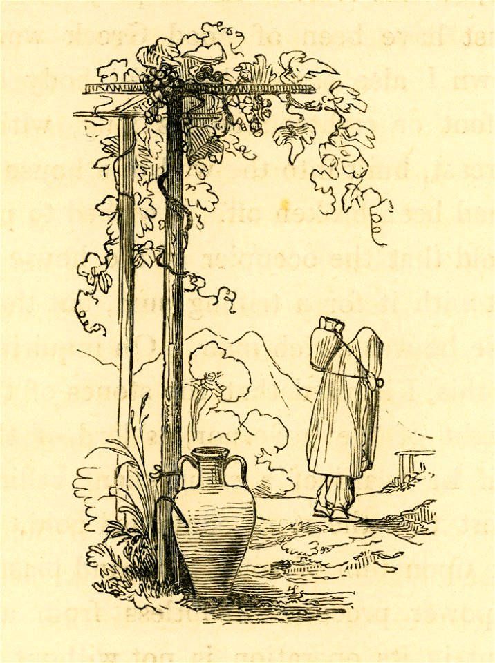 Woman carrying a water jar upon her back, slung by cords - Fellows Charles - 1839