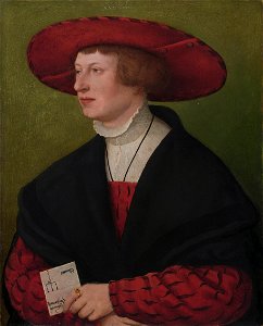 Wolfgang Ronner, by Hans Maler