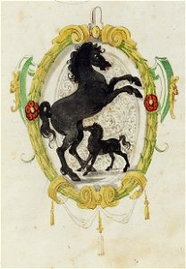 Wolleber Chorographia Mh6-1 0175 Wappen