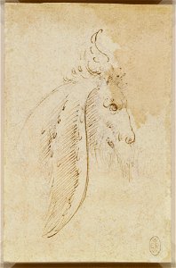 Workshop of Leonardo da Vinci - RCIN 912368, The head of a grotesque animal c.1490-95