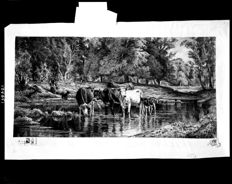 Woodland pool LCCN2003672286