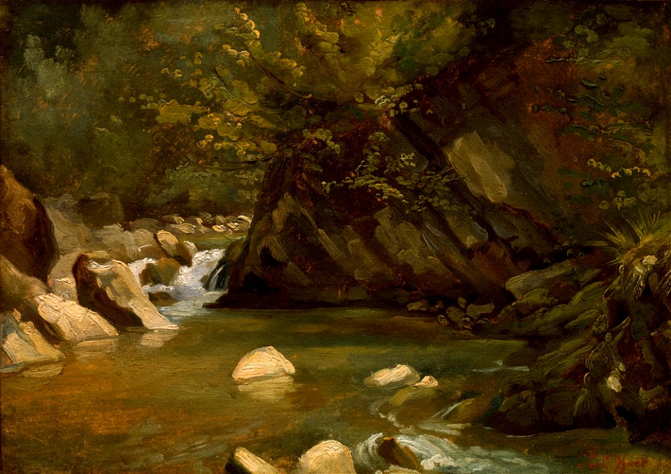 Woodland Stream A-6830205