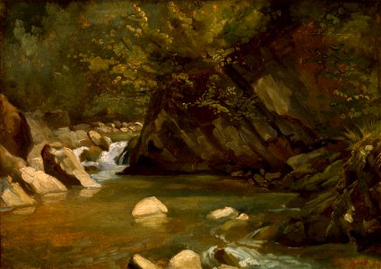Woodland Stream A-6830205