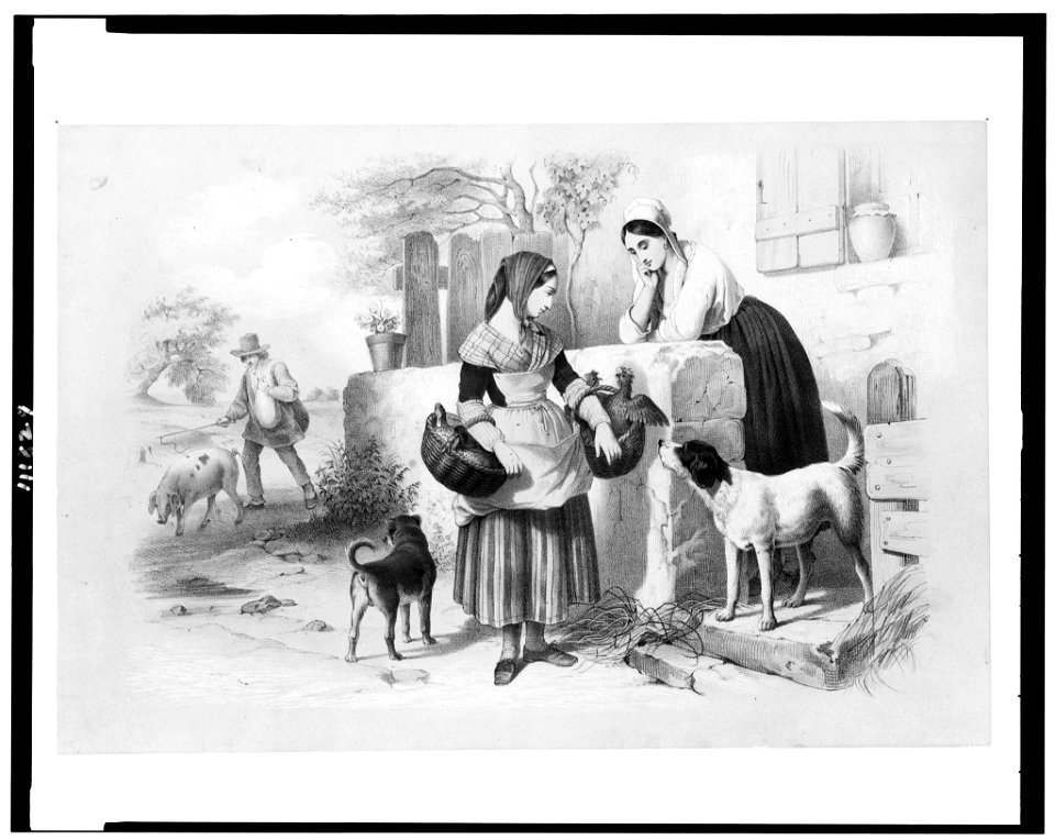 Woman, with chickens and ducks in baskets, facing another woman at wall of building, two dogs, and man walking with a pig LCCN94511014