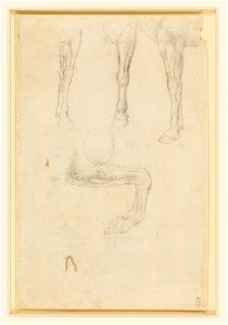 Workshop of Leonardo da Vinci - RCIN 912300, Recto Horses' fore-legs, including one raised and bent