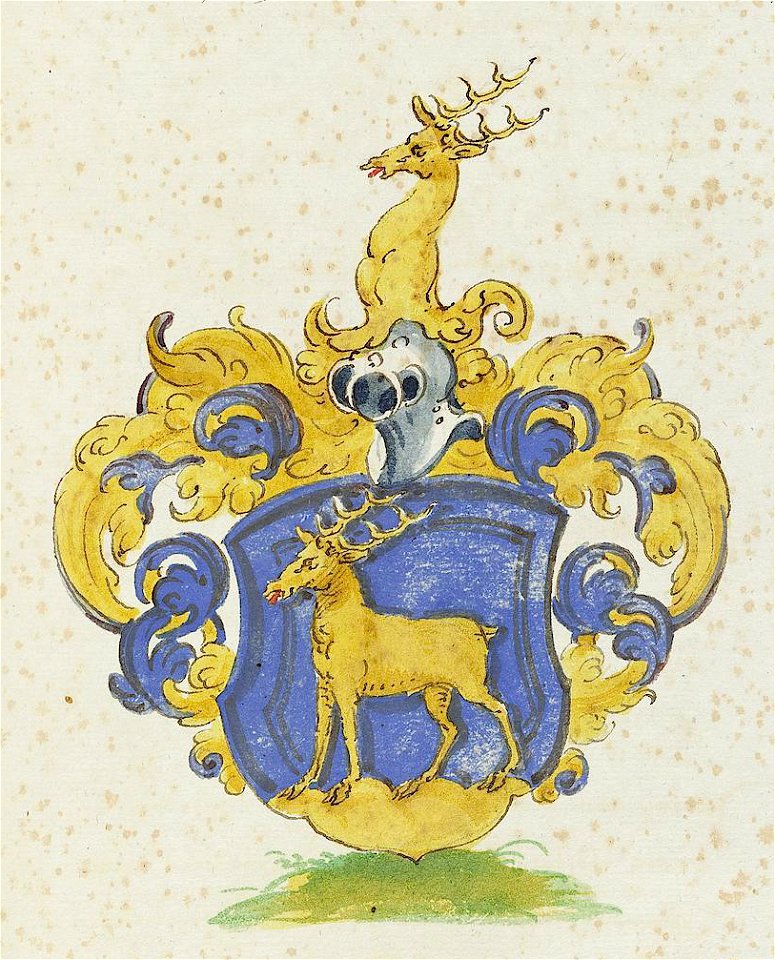 Wolleber Chorographia Mh6-1 0863 Wappen