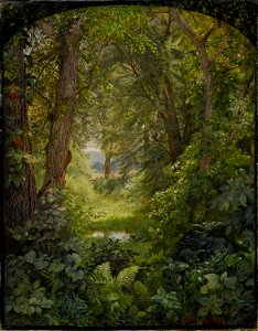 Woodland Landscape-William Trost Richards-1860