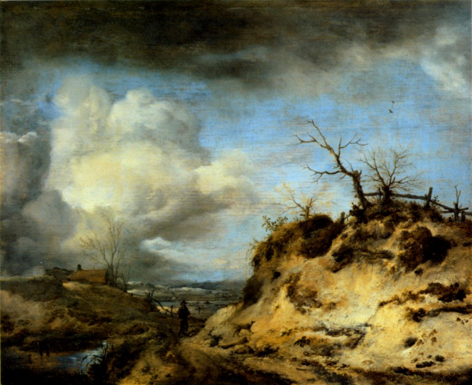 Wouwerman duenenweg