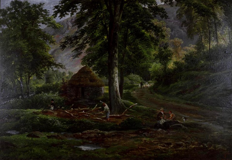 Woodland scene (4702881)