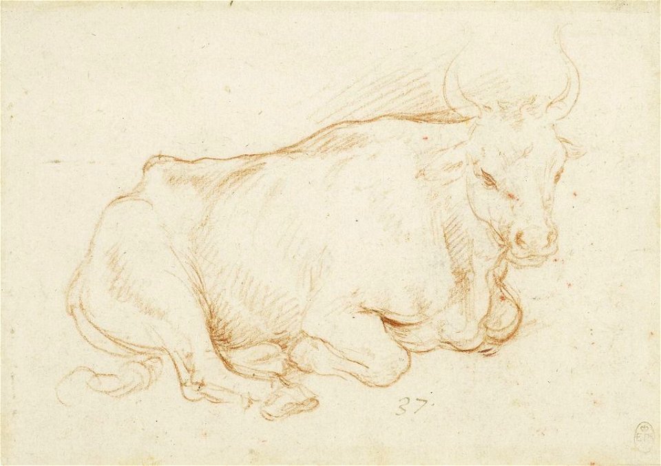 Workshop of Leonardo da Vinci - RCIN 912364, Recto An ox