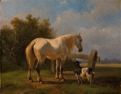 Wouterus Verschuur - Paard in de weide - SA 264 - Amsterdam Museum