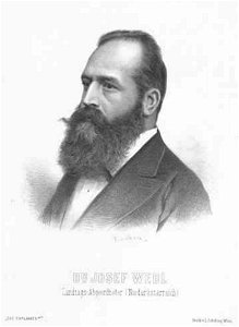 WP Josef Wedl