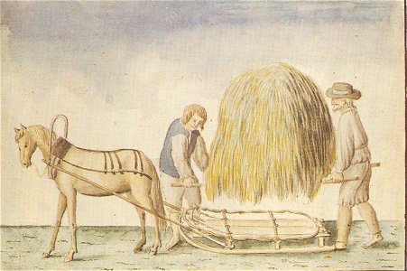 Workers-moving-hay-by-Brotze