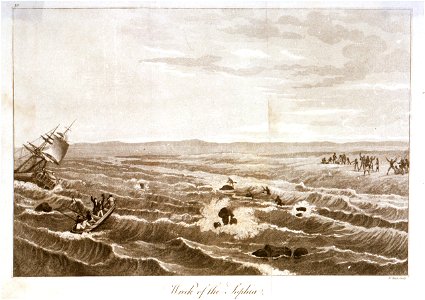 Wreck of the Sophia RMG PU6399