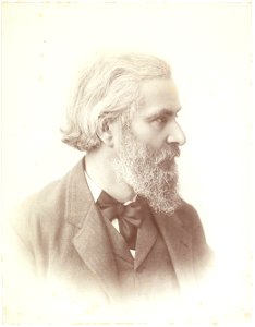 Władysław Mickiewicz profil